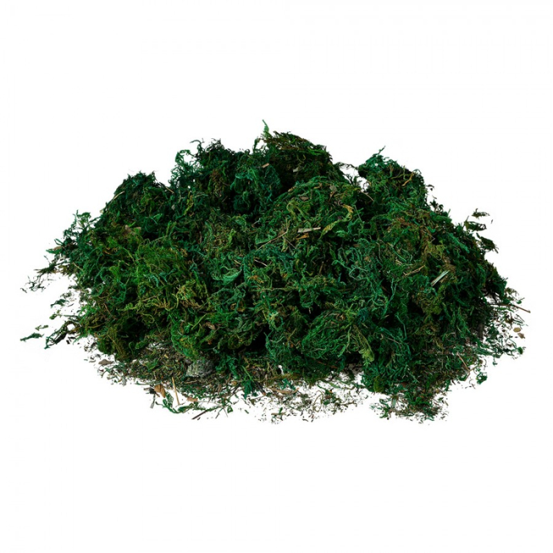 Doplňky a dekorace - Zelený dekorační umělý mech – 40x30 cm