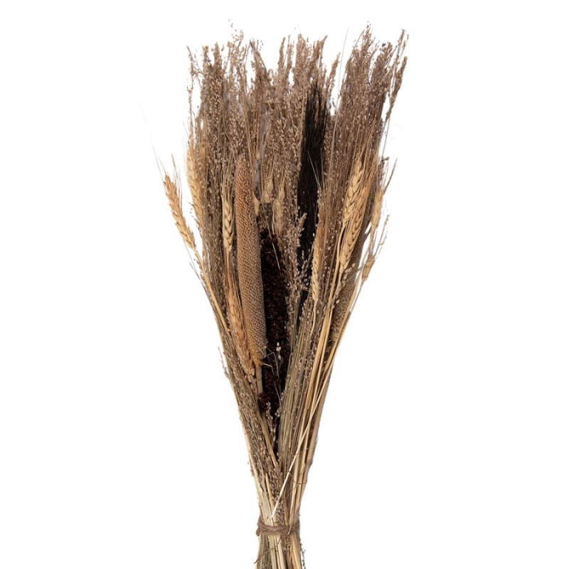 Doplňky a dekorace - Béžovo-hnědá kytice sušených květin – 18x6x60 cm