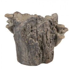 Cementový květináč ve tvaru dřeva s houbami Terazzo M – 20x18x18 cm