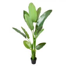 Extra velká umělá rostlina strelicie v květináči – 180 cm