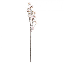 Alapointe.cz