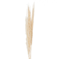 Přírodní béžová kytice sušené květy trávy – 90 cm
